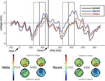 Does L2 Proficiency Impact L2-L1 Transfer While Reading L1 Collocations? Evidence From Behavioral and ERP Data